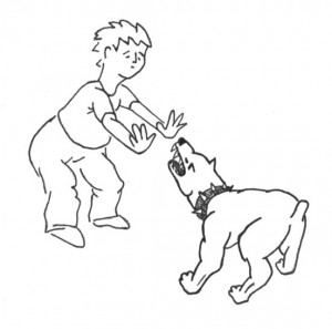 Nice doggy